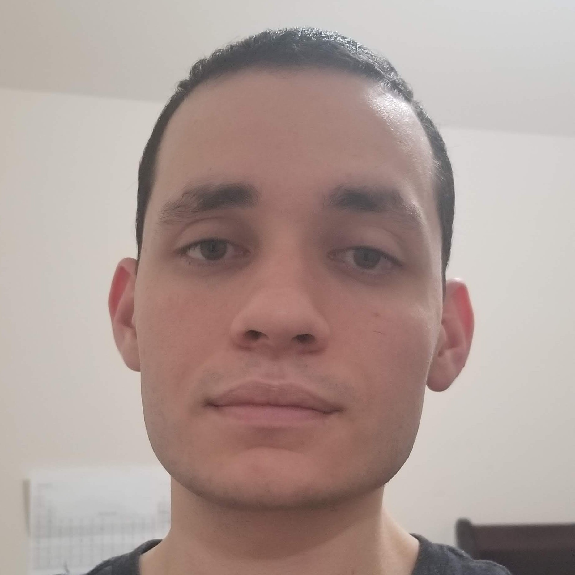 Luis David Licea Torres